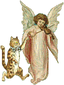 Avatar de l’utilisateur